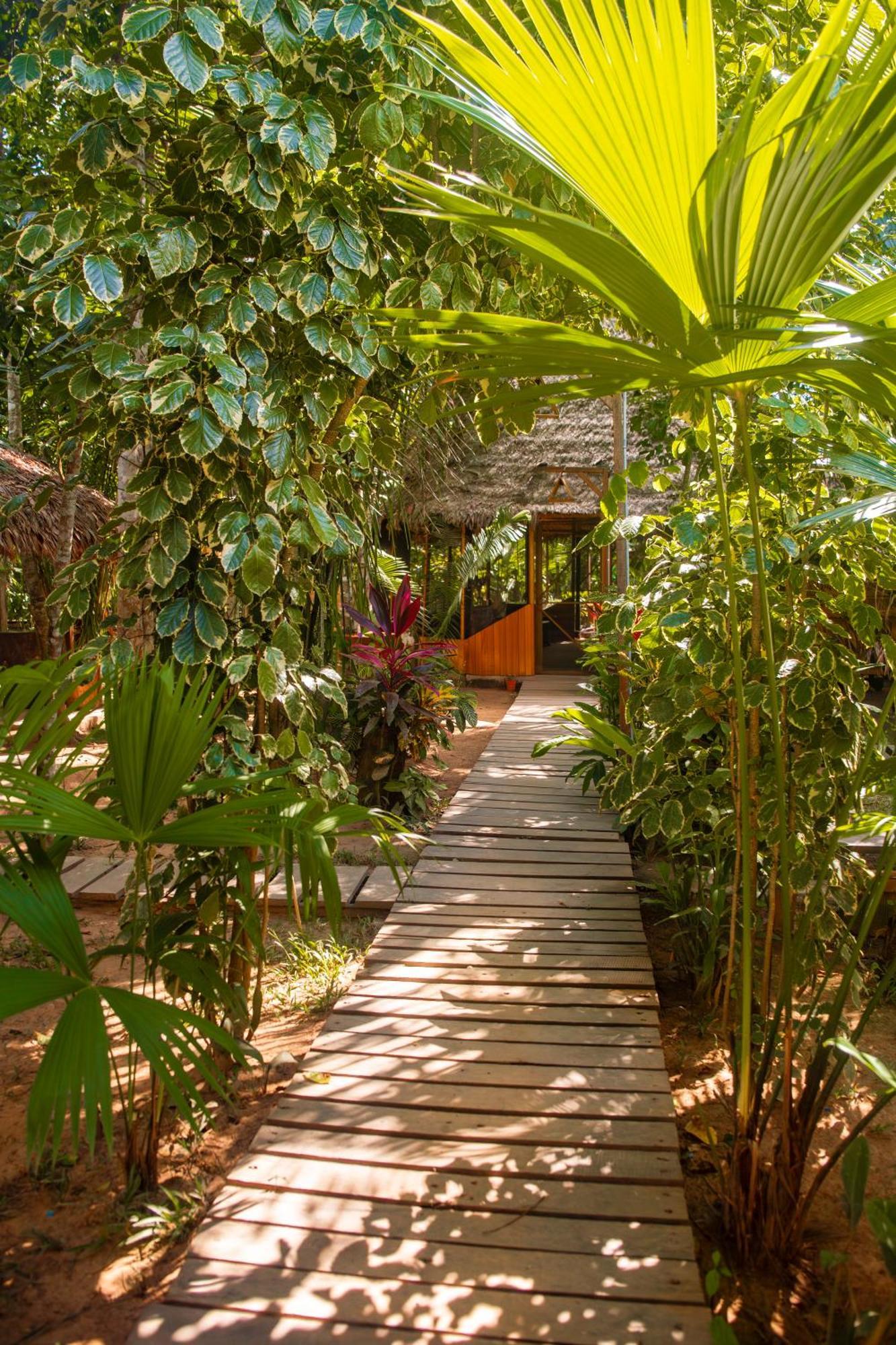 Tronco Tambopata Adventure Hotel Пуерто Малдонадо Екстериор снимка
