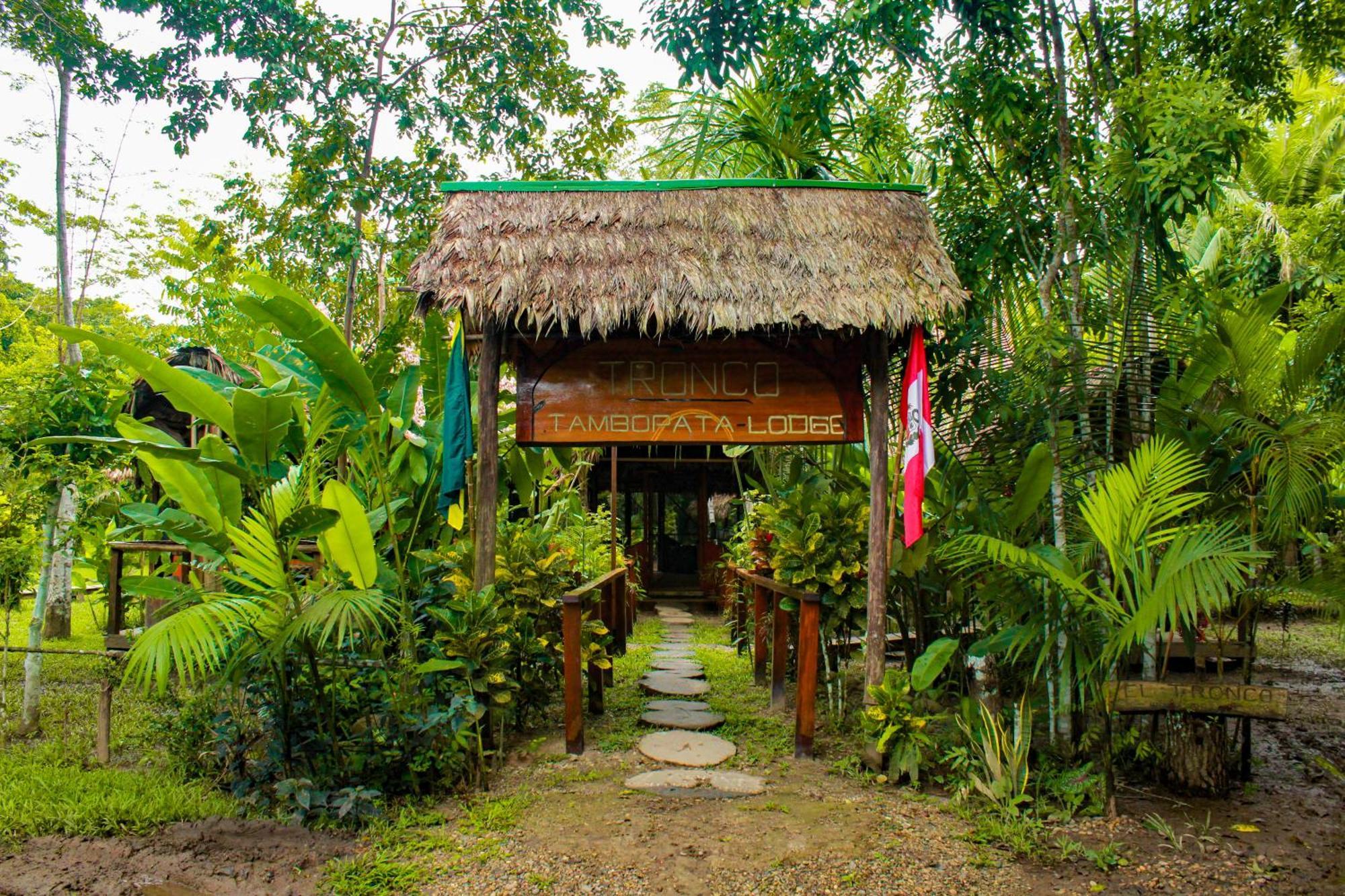 Tronco Tambopata Adventure Hotel Пуерто Малдонадо Екстериор снимка