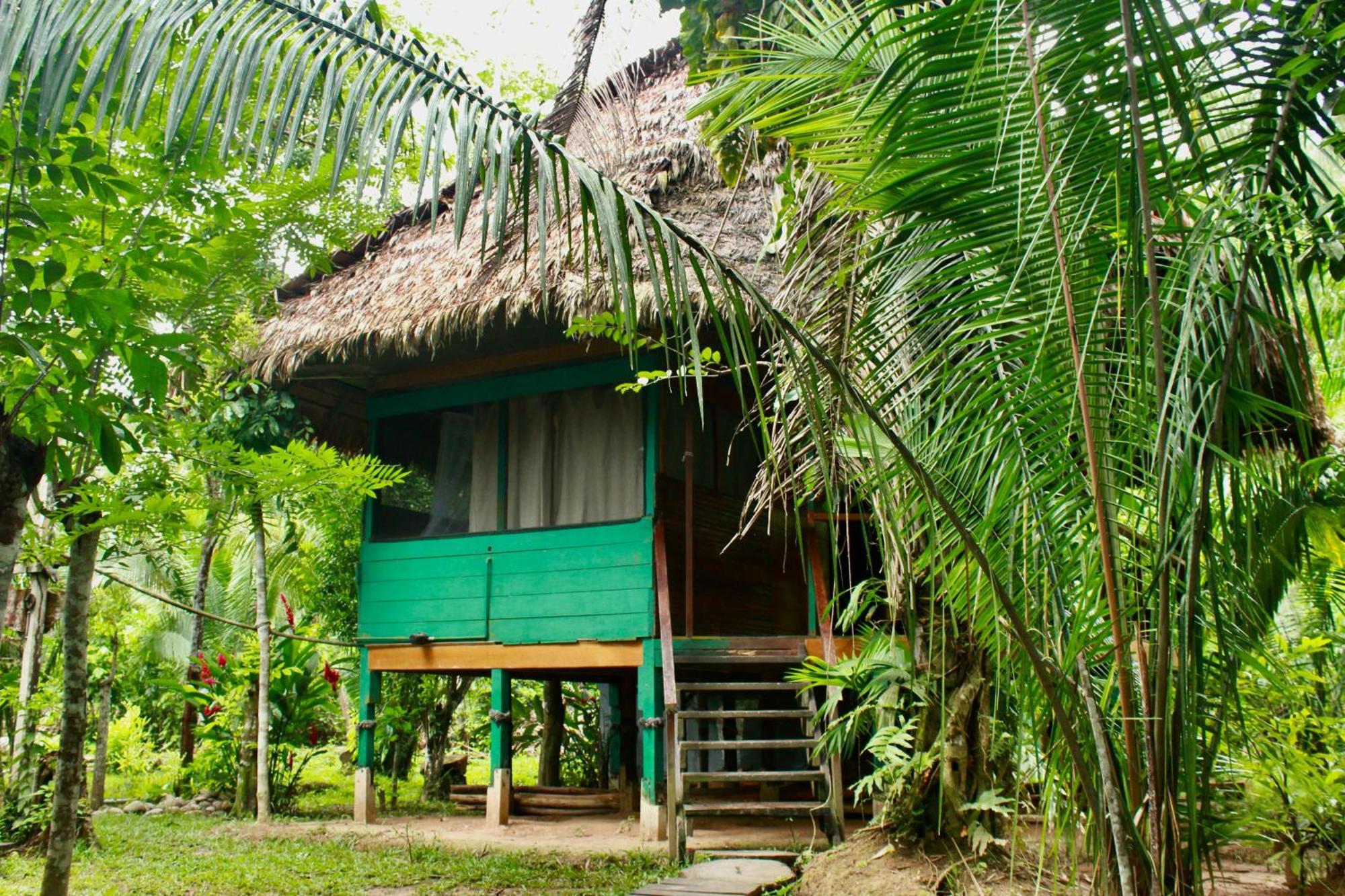 Tronco Tambopata Adventure Hotel Пуерто Малдонадо Екстериор снимка